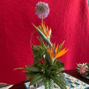 Meet your Posher, Jane